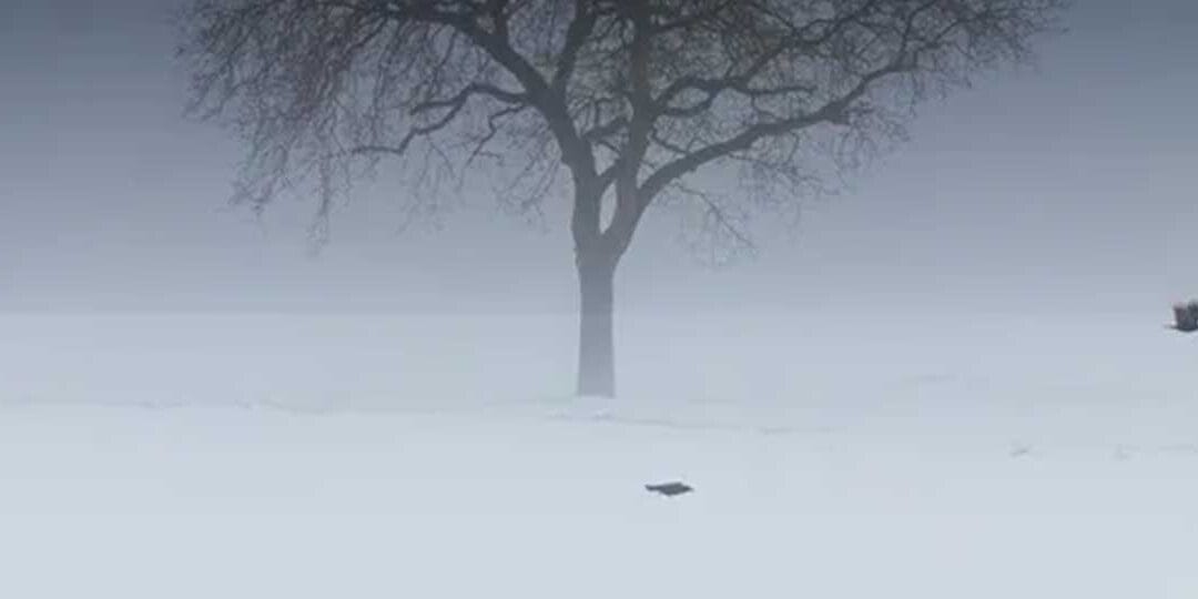 Del 1: Så hanterar du ett dödsbo effektivt i Sverige 2026